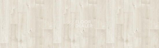 Линолеум Tarkett Bonus DUART 1 фото 1 | FLOORDEALER